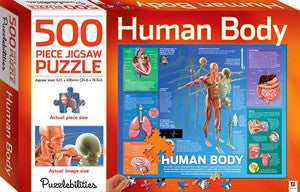 Human Body 500 Piece Jigsaw (Puzzlebilities)